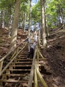 The long climb up Jacob`s Ladder in Victoria Park, Truro